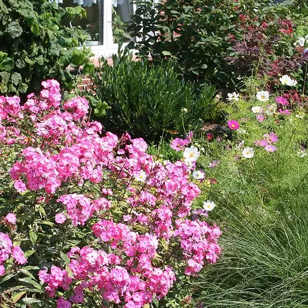 Penzion Murra Stedesdorf